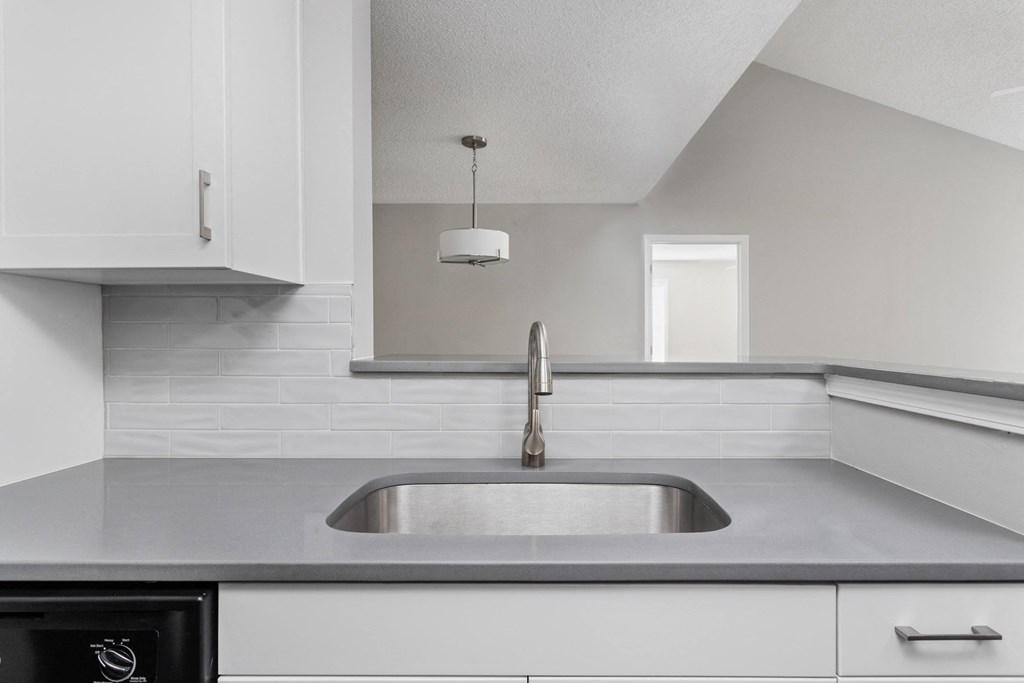 Indianapolis The Lakes Apartments sleek kitchen with farmhouse sink