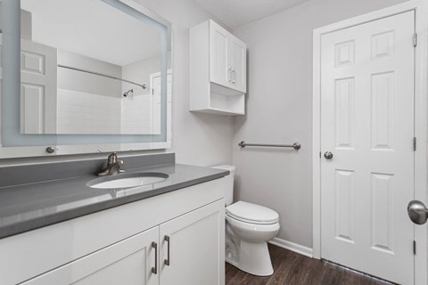 Indianapolis The Lakes Apartments updated bathroom with white vanity and quartz countertop