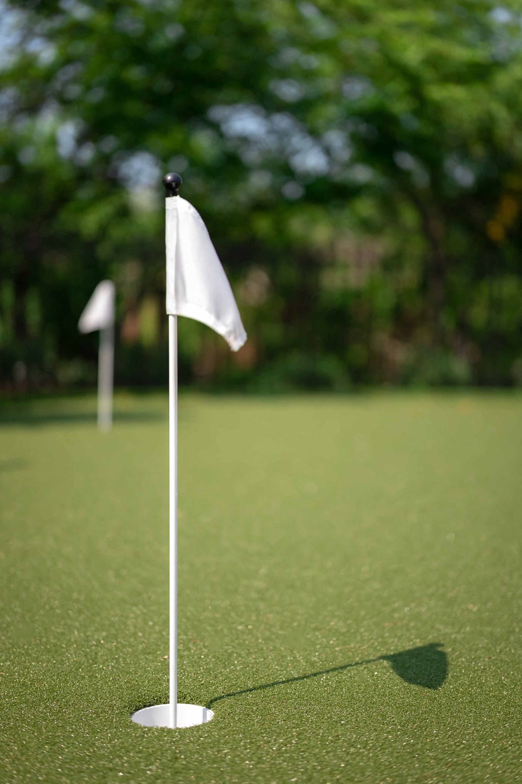 The Overlook at St. Thomas Apartments Louisville putting green