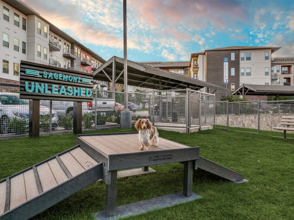 a dog sitting on a picnic table in a dog park