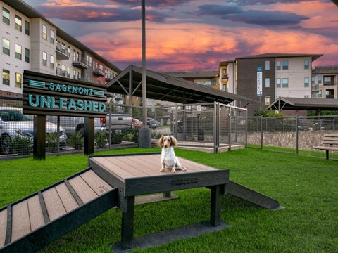 a dog sitting on a bench in a park