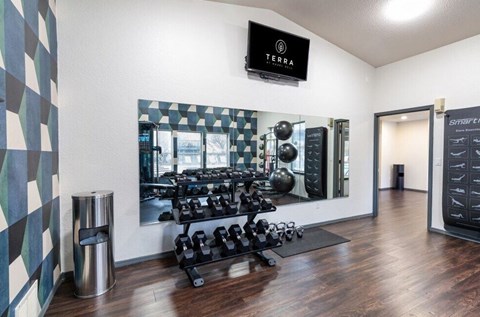 A gym with a mirror, weights, and a TV.