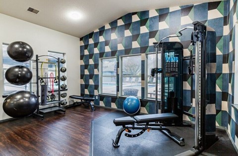 A gym with a checkered wallpaper and a variety of exercise equipment.