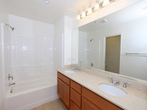 a bathroom with two sinks and a large mirror