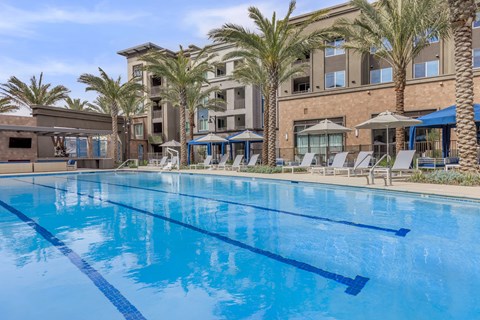A large swimming pool in front of a building with palm trees.