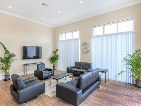 a living room with leather furniture and a tv