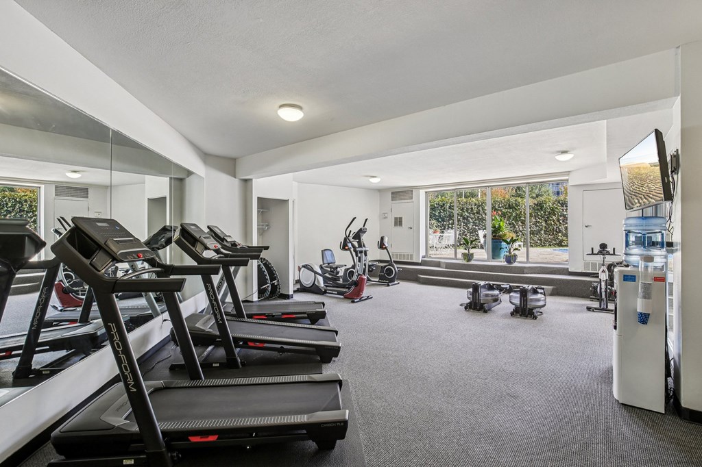 A gym with treadmills and exercise equipment.