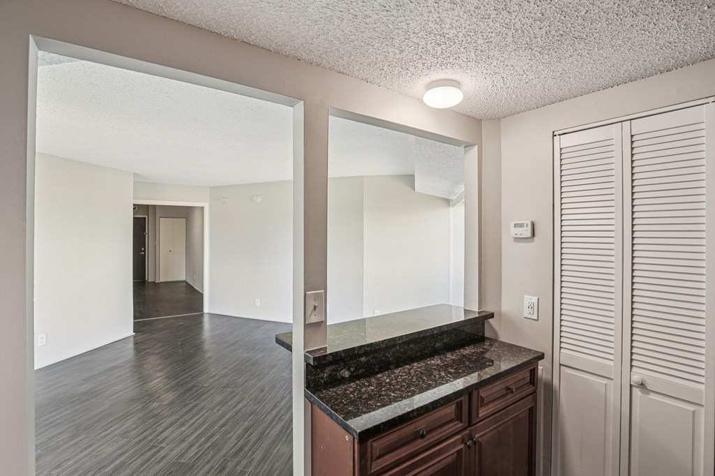 A kitchen with a counter and cabinets.