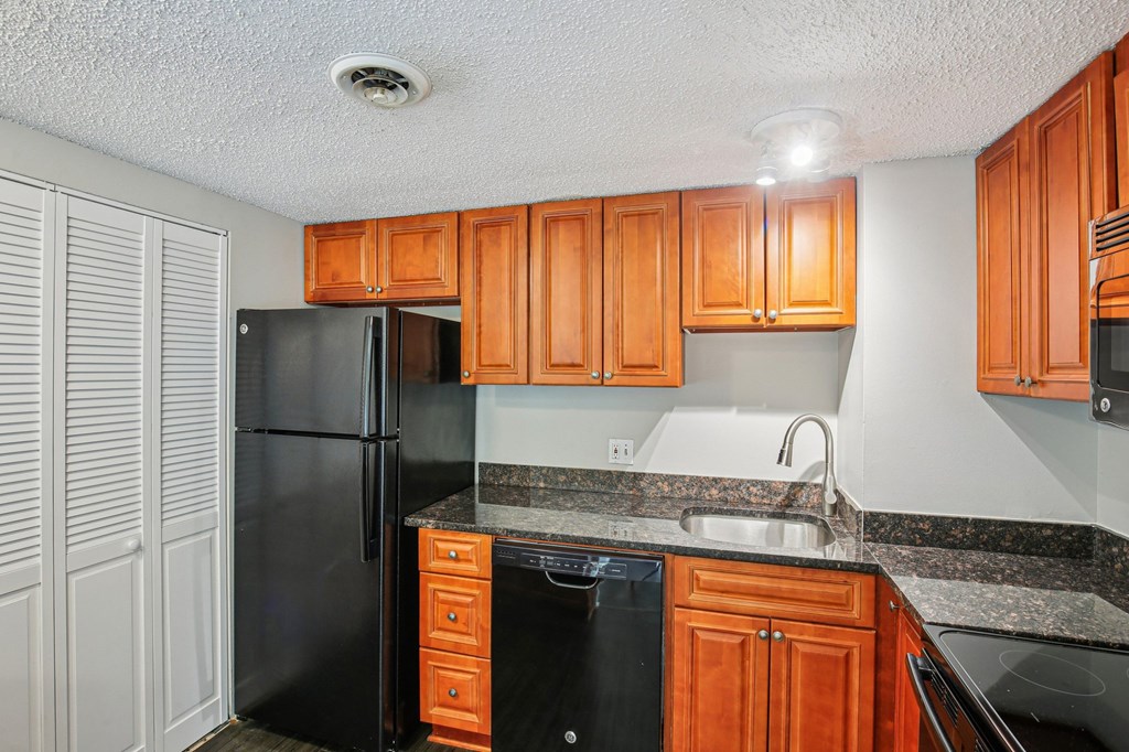 A kitchen with a black refrigerator and wooden cabinets.