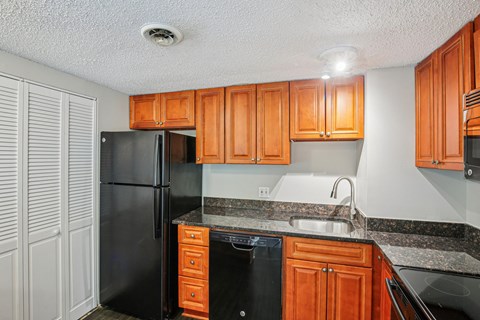 A kitchen with a black refrigerator and wooden cabinets.