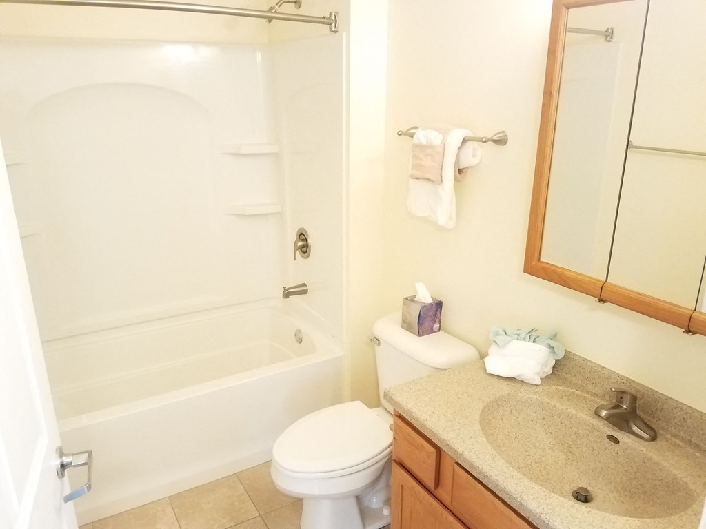 a bathroom with a shower toilet and sink and a mirror