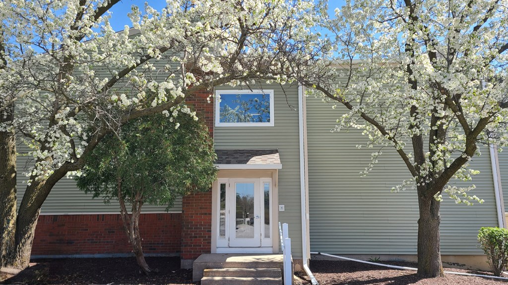 the front of our house with the trees