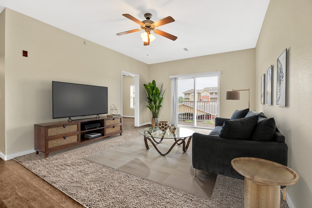 A living room with a television, a couch, and a plant.