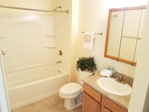 A bathroom with a toilet, sink, and bathtub.