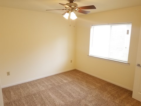 A room with a ceiling fan and carpeted floor.