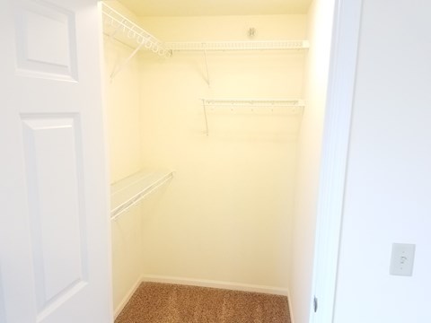 A white closet with a carpeted floor and a door on the left.