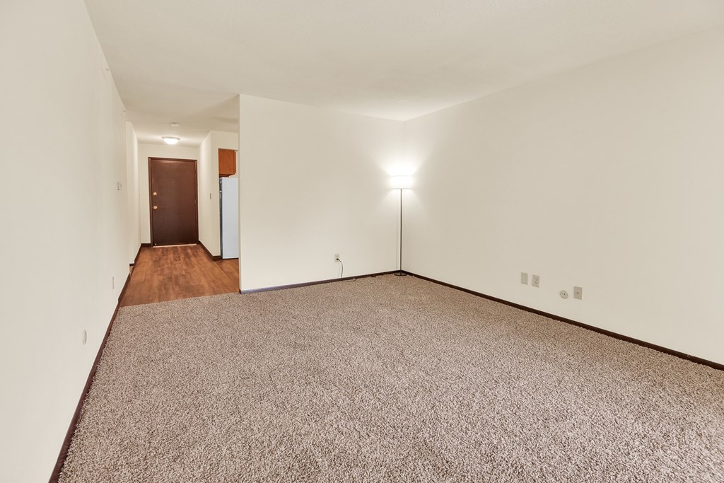 A room with a carpeted floor and a brown door.