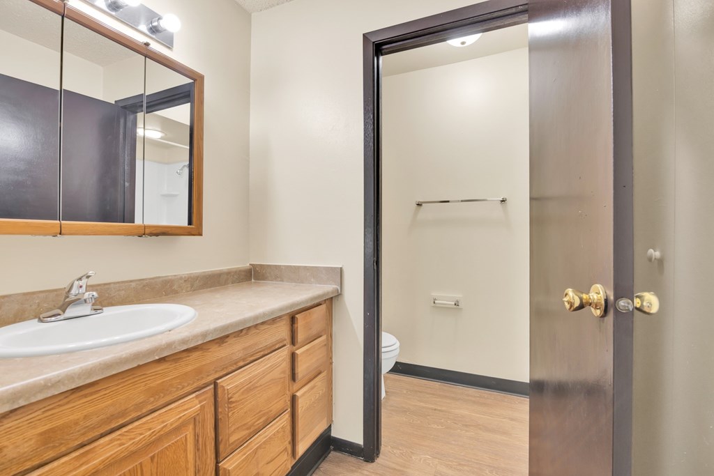 A bathroom with a sink, mirror, and toilet.
