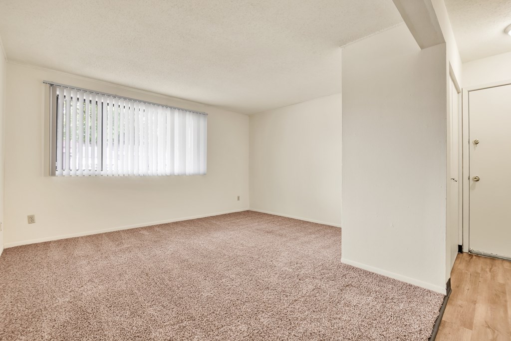 A room with a carpeted floor and a window with blinds.