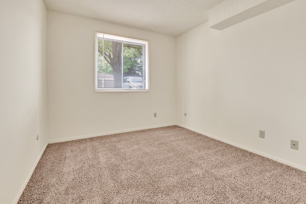 A room with a carpeted floor and a window.