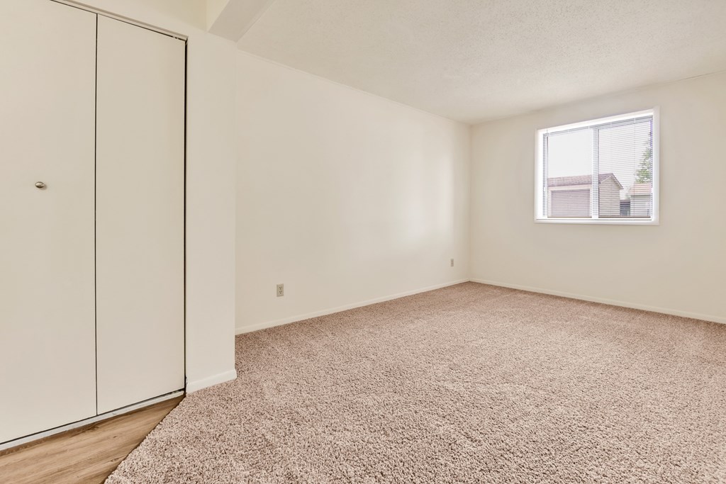 A room with a carpeted floor, a white door, and a window showing a house outside.