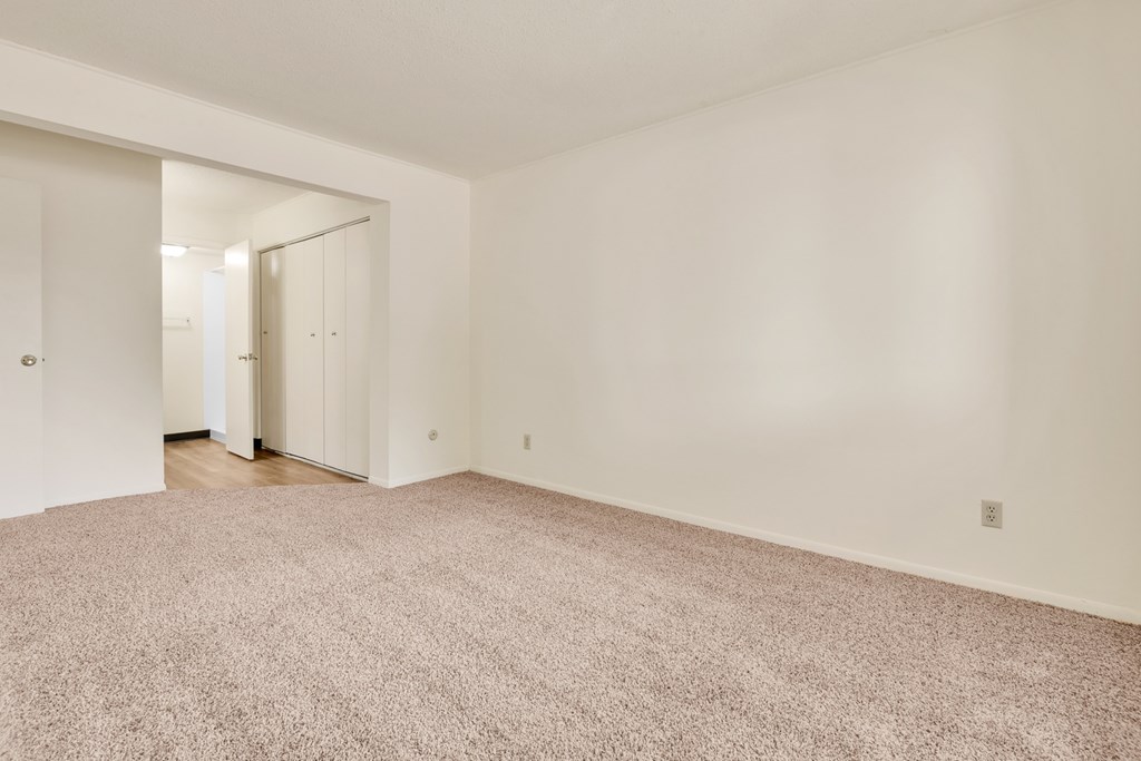 A room with a carpeted floor and white walls.