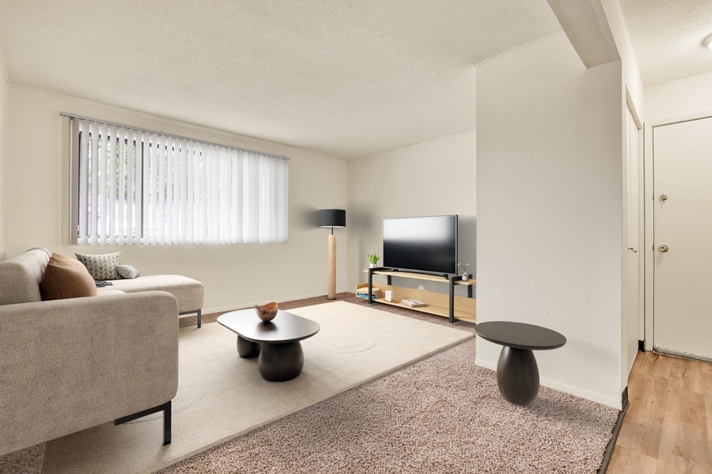 A living room with a couch, a coffee table, and a television.