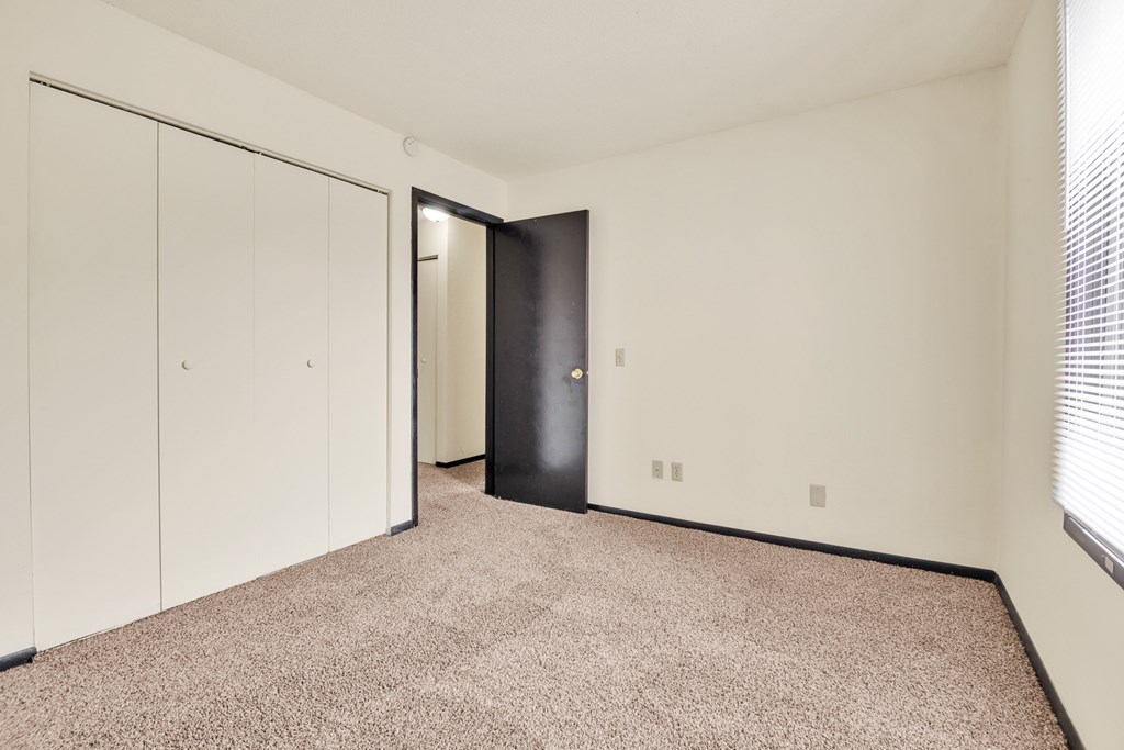 A room with a carpeted floor, a black door, and a white wall.