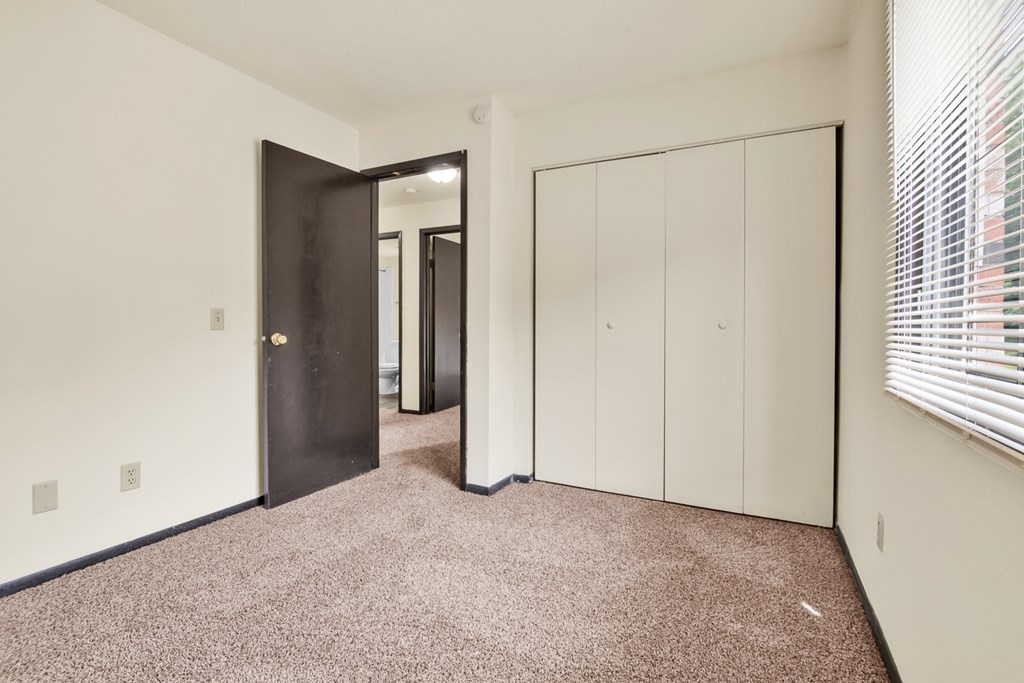 A room with a carpeted floor, a black door, and a white wardrobe.