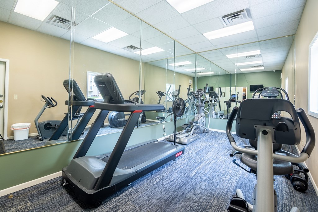 A gym with treadmills, exercise bikes, and other equipment.