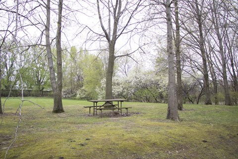 A picnic table sits in the middle of a grassy field.