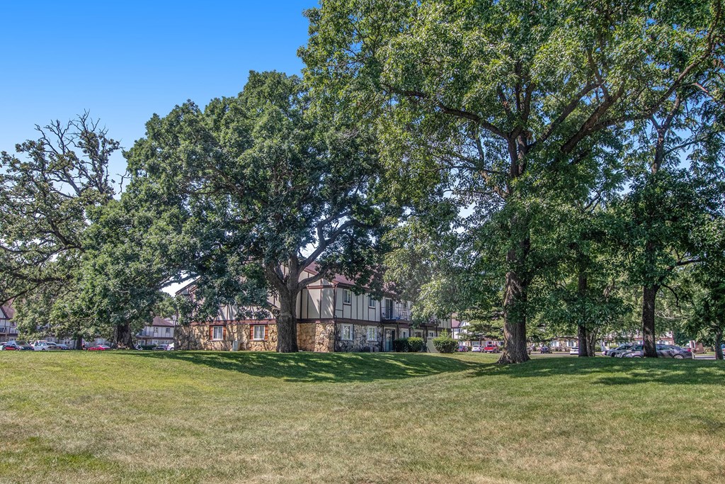 a park with trees and a building in the background