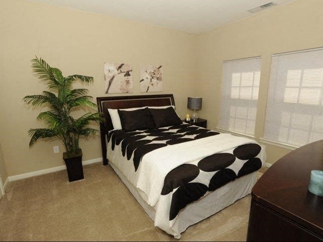 a bedroom with a bed and a palm tree