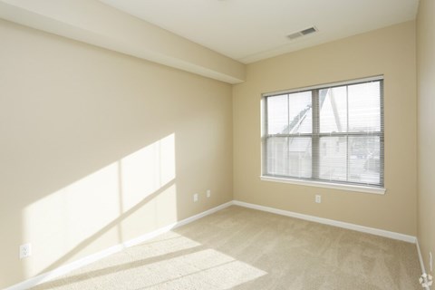 A sunny room with a window and a carpet on the floor.
