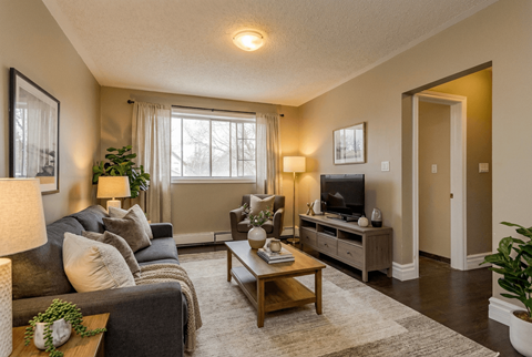 A living room with a grey couch, a wooden coffee table, and a television on a cabinet.