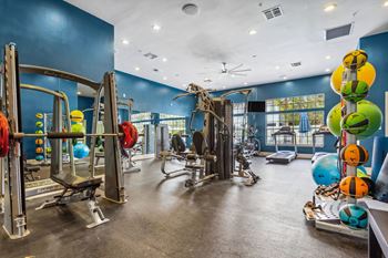 Image of fitness center at Reserve at Temple Terrace, Temple Terrace