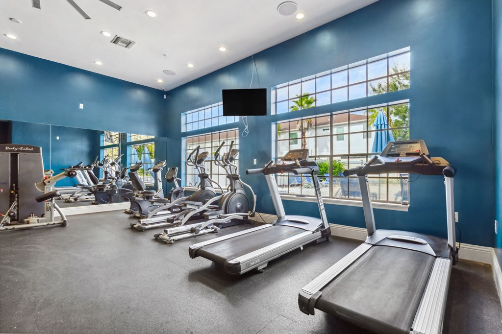 a gym with treadmills and other exercise equipment and windows at Reserve at Temple Terrace, Temple Terrace, FL 33637 