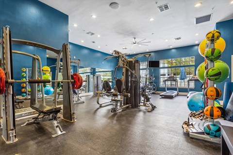 a gym with weights and cardio equipment in a building with blue walls at Reserve at Temple Terrace, Temple Terrace