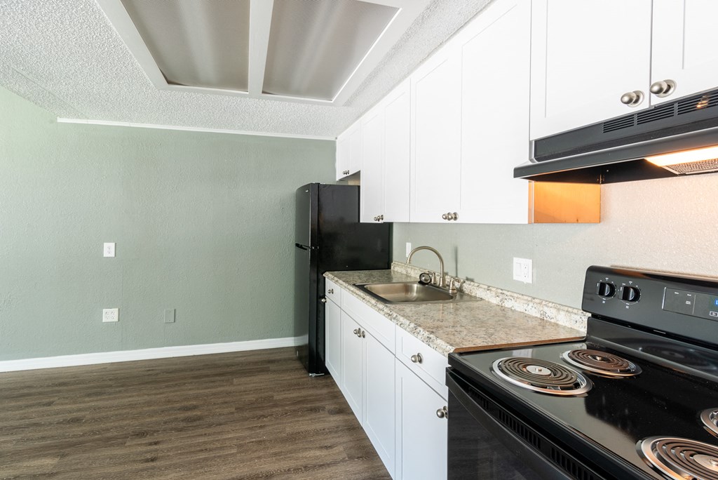 a kitchen with a stove and a sink and a refrigerator