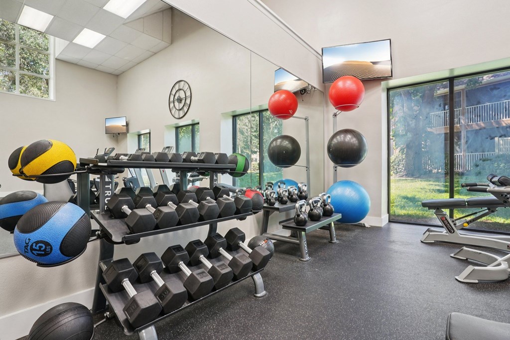 A gym with a variety of equipment including dumbbells, weight plates, and a bench press.