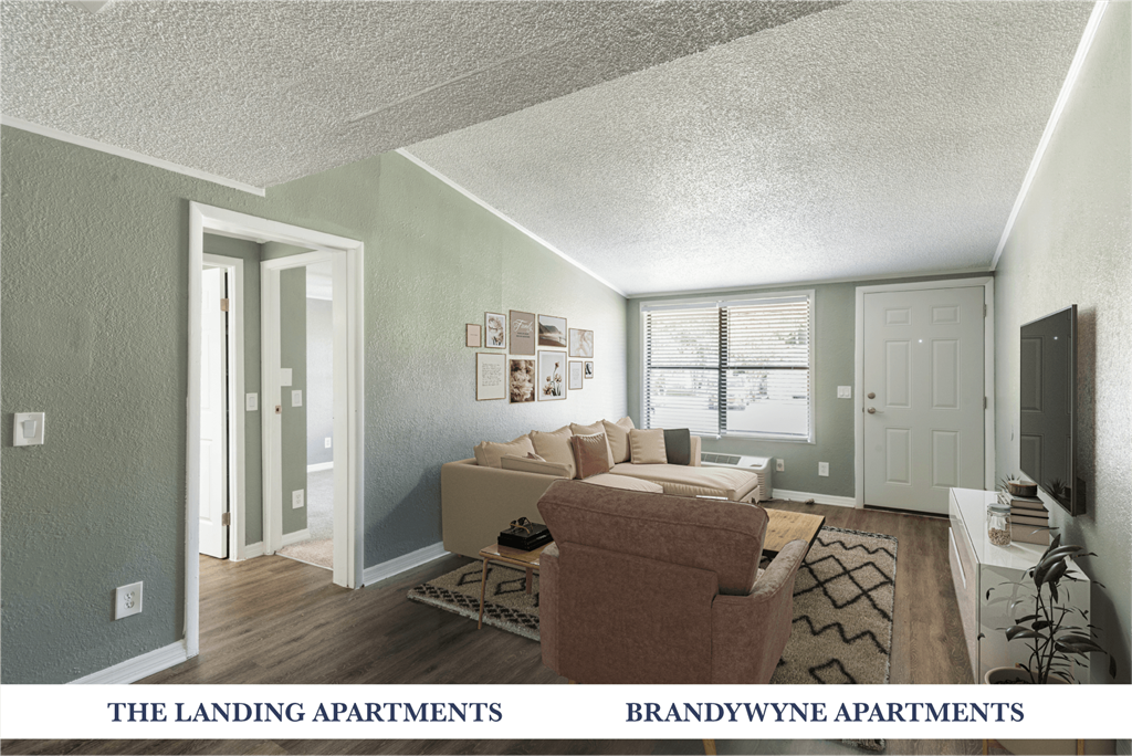 A living room with a couch, chair, and rug.