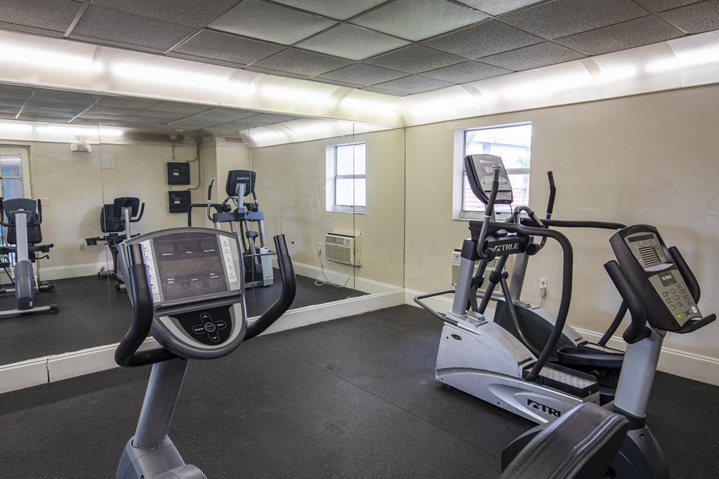 A gym with treadmills and elliptical machines.
