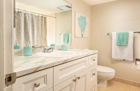 a bathroom with a white sink and a toilet at Fairways of Inverrary, Lauderhill, 33319
