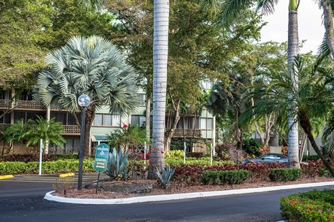 a street with palm trees in front of an apartment building at Fairways of Inverrary, Florida