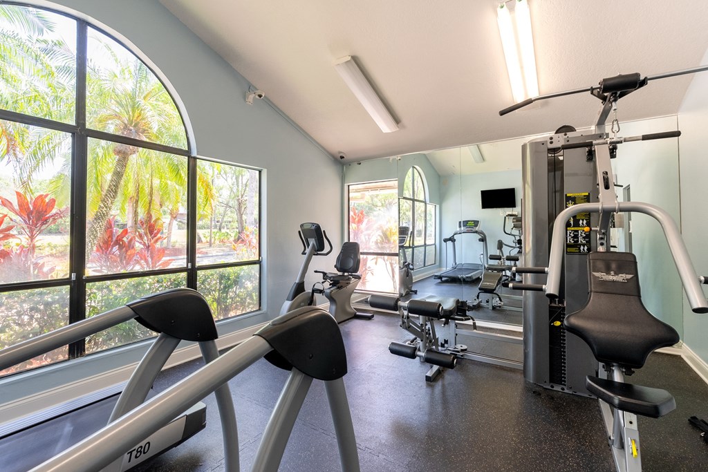 a gym with weights and cardio equipment and large windows  at Fisherman's Landing Apartment Homes, Florida, 33637