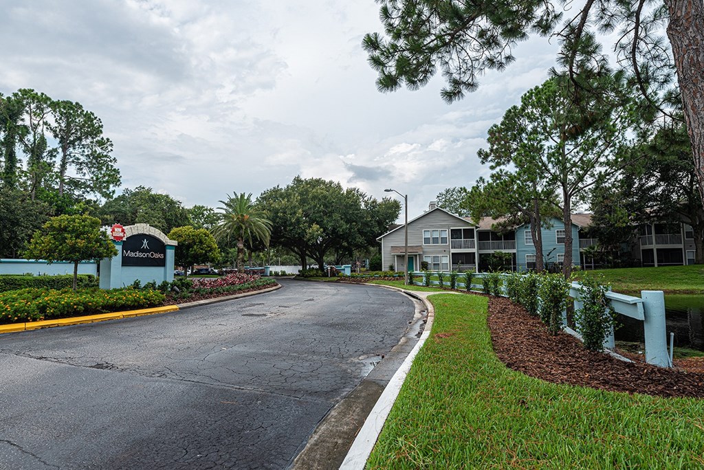 a street in a neighborhood with houses and trees at Madison Oaks Apartment Homes, LLC, Palm Harbor, FL