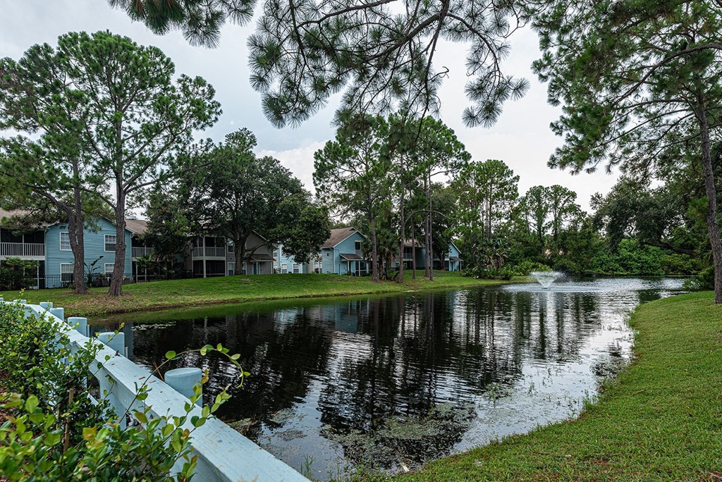 the pond in front of the apartments is surrounded by trees at Madison Oaks Apartment Homes, LLC, Palm Harbor, FL 34684