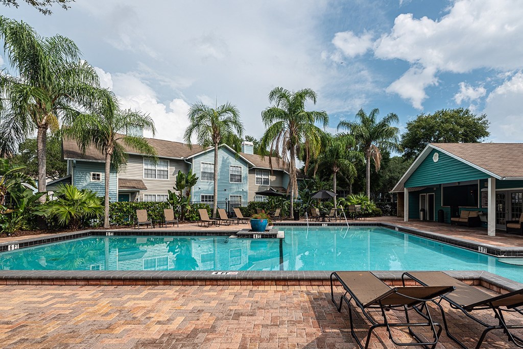 the swimming pool at our apartments the swimming pool at our apartments at Madison Oaks Apartment Homes, LLC, Palm Harbor, 34684