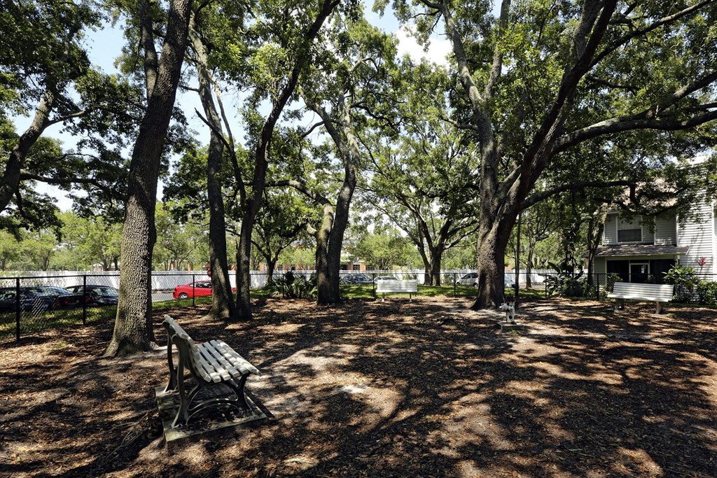a picnic area with a bench and trees at Madison Oaks Apartment Homes, LLC, Palm Harbor Florida