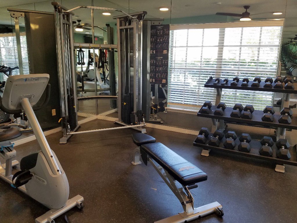 the gym is equipped with weights and cardio equipment at Madison Oaks Apartment Homes, LLC, Palm Harbor Florida